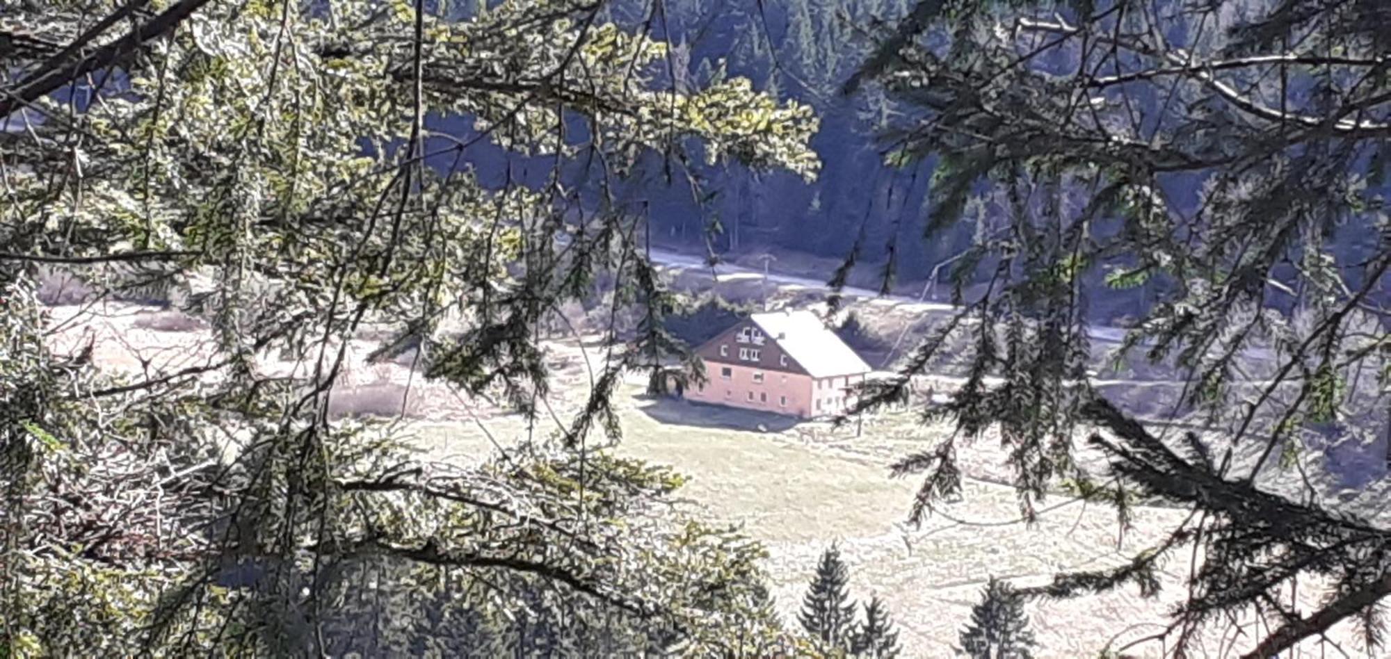 Domaine Des Hauts Viaux Ла-Бресс Экстерьер фото