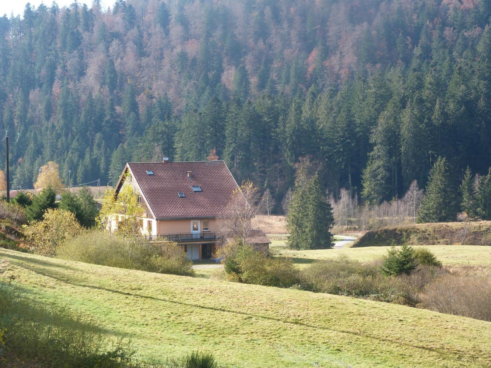 Domaine Des Hauts Viaux Ла-Бресс Экстерьер фото