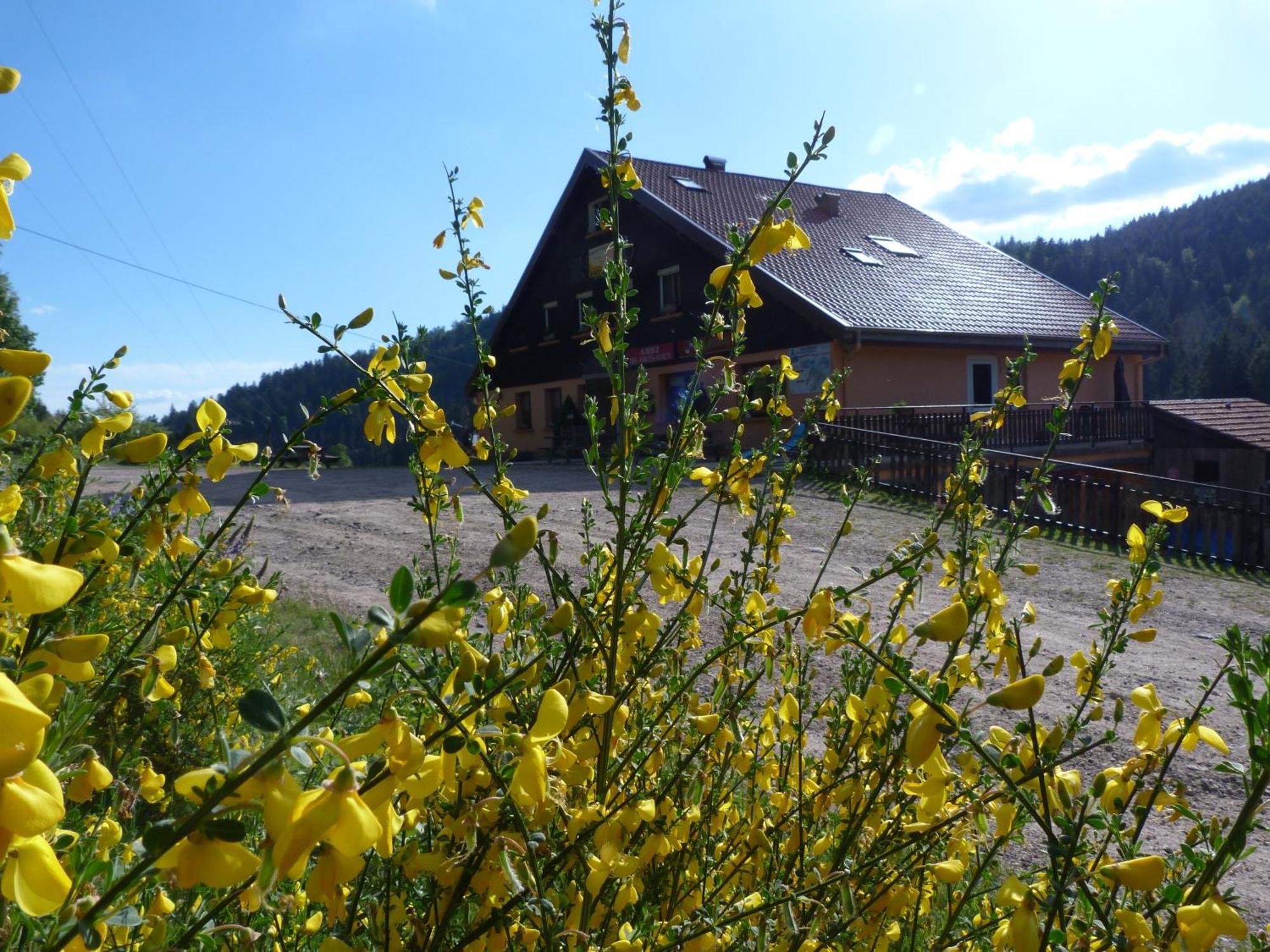 Domaine Des Hauts Viaux Ла-Бресс Экстерьер фото