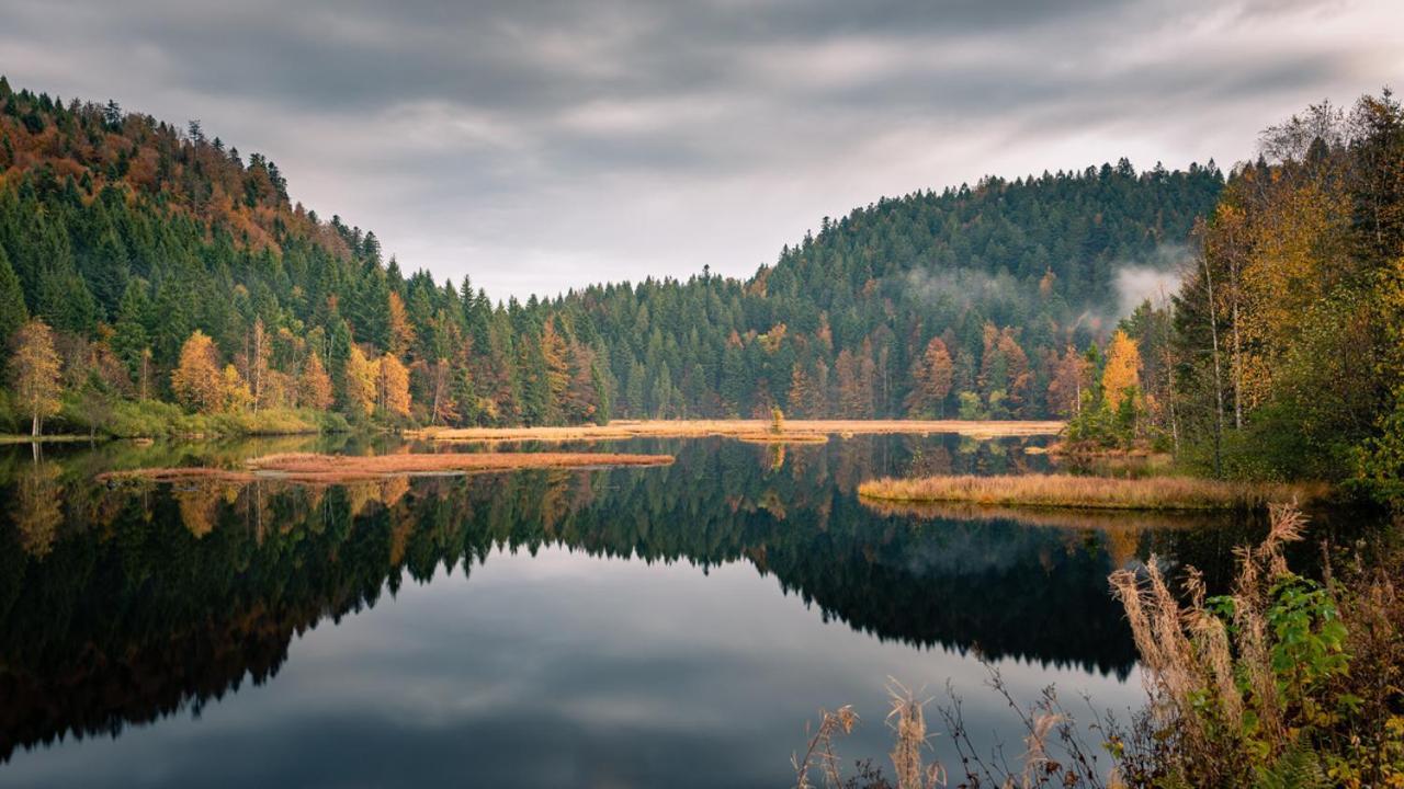 Domaine Des Hauts Viaux Ла-Бресс Экстерьер фото