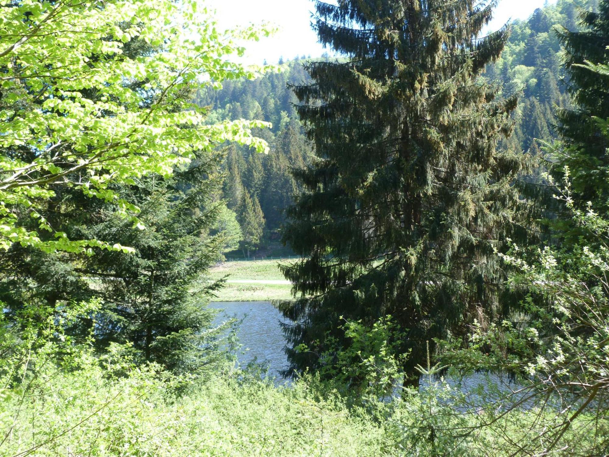 Domaine Des Hauts Viaux Ла-Бресс Экстерьер фото
