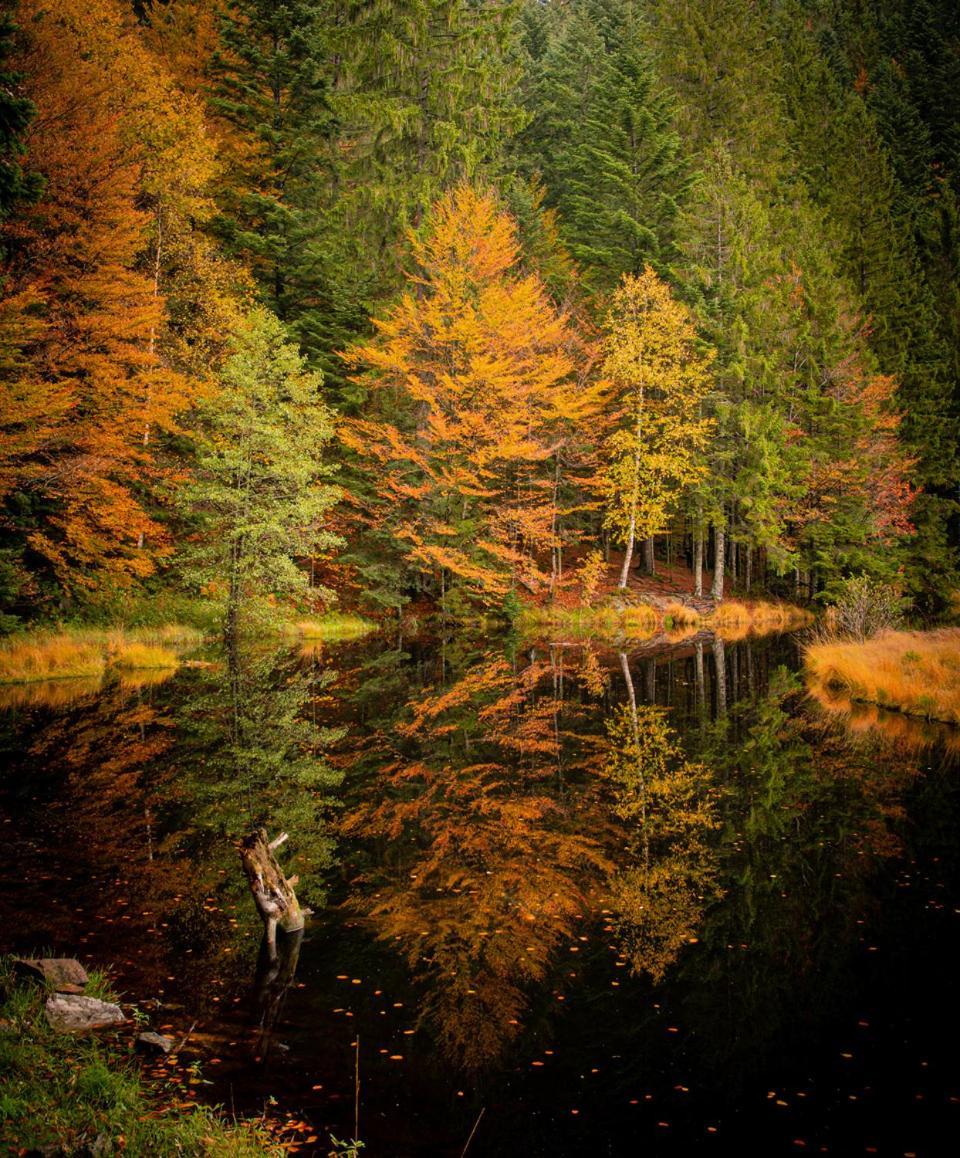 Domaine Des Hauts Viaux Ла-Бресс Экстерьер фото
