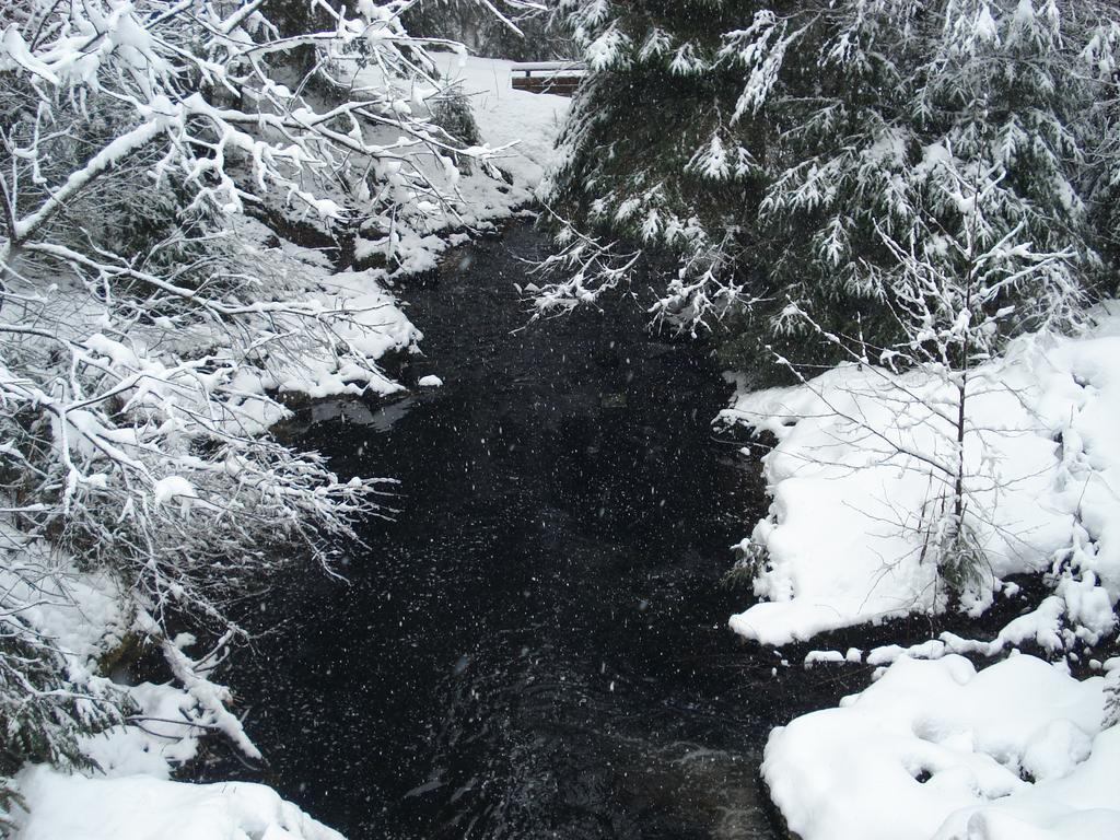 Domaine Des Hauts Viaux Ла-Бресс Экстерьер фото