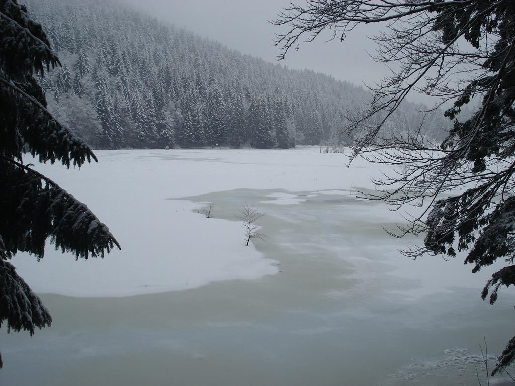 Domaine Des Hauts Viaux Ла-Бресс Экстерьер фото