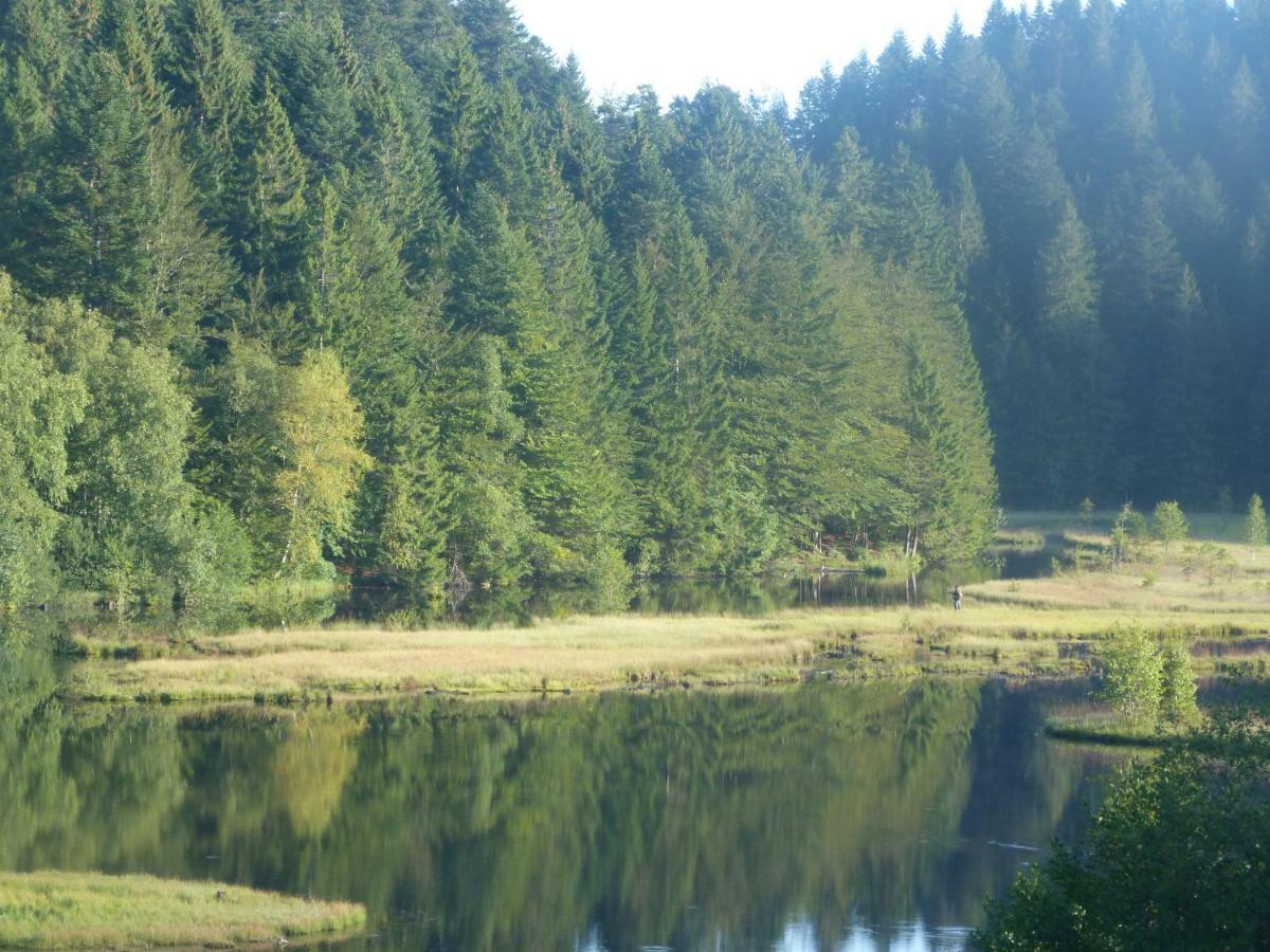 Domaine Des Hauts Viaux Ла-Бресс Экстерьер фото
