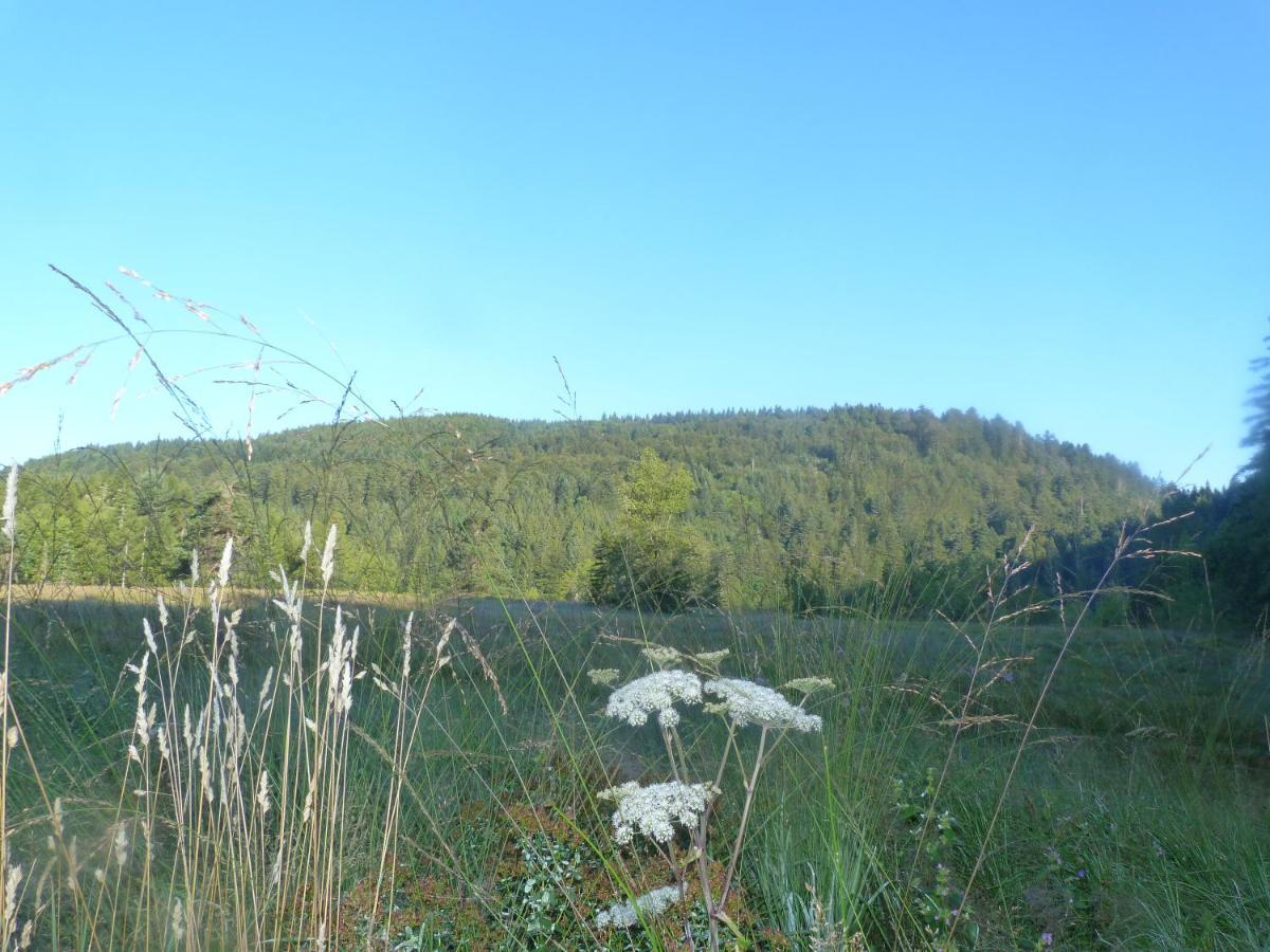 Domaine Des Hauts Viaux Ла-Бресс Экстерьер фото